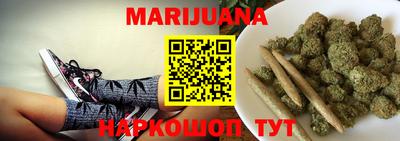 spice Моздок