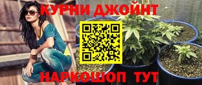 spice Моздок