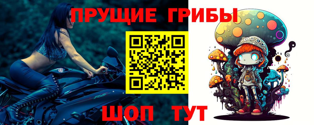 Хасавюрт  Псилоцибиновые грибы Magic Shrooms  Псилоцибиновые грибы мухоморы  купить закладку  Вход с VPN 