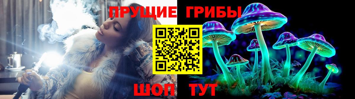 Псилоцибиновые грибы мицелий Хасавюрт